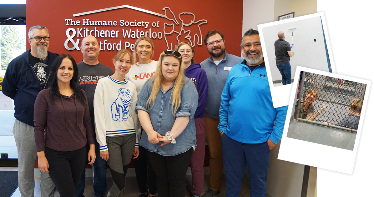 REM Web Solutions volunteering at the Humane Society KW & Stratford Perth.